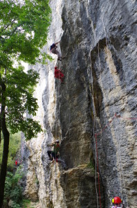 2014-10-11 palestra Cereda, (Ester) (38)